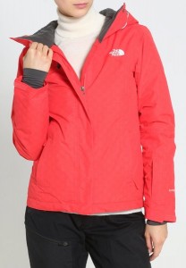 ao-the-north-face-chinh-hang