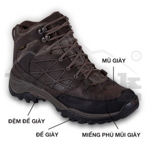 thiet-ke-giay-leo-nui